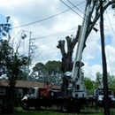 Judice Dirt & Demolition - Christmas Trees