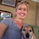 C and S PetGrooming - Pet Grooming