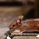Alert Pest Management - Pest Control Equipment & Supplies