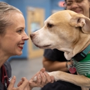 CityVet | Chamblee Veterinary Clinic & Urgent Care - Pet Services