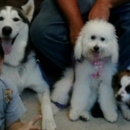 Banfield Pet Hospital - Pet Services