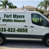 Fort Myers Raccoon Removal gallery