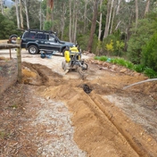 Gallery Image Number 2