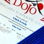 Dojo American Karate Centers