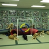 Canine Academy gallery