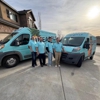 Pineapple Carpet Cleaning gallery