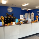 World Finance - Loans