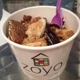 Zoyo Neighborhood Yogurt