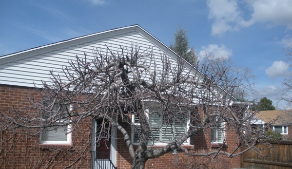 Twin Peaks Tree Care - West Jordan, UT