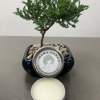 Mama Tonas gallery