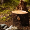 Cooper's Tree Service gallery