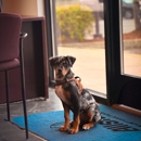 Zack Skoglie Insurance Agency INC: Allstate Insurance