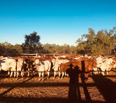 Ray White Rural Townsville - Townsville, QLD