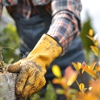 Jem Tree Service and Contracting gallery