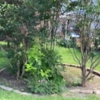 EJ Lawn Services gallery