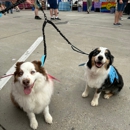 Pet Care Club - Pet Services