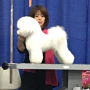 Shear Magic Pet Salon - Pet Services