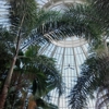 Buffalo and Erie County Botanical Gardens gallery