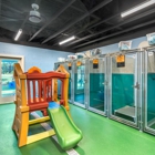 Pet Paradise Pooler