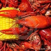 J Bernard Seafood & Processing gallery