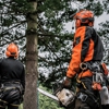Shoreline Tree Service Pros gallery