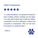 Woofred's Dog Training - Dog Training