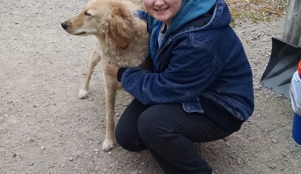 Tanglewood Kennels LLC - Saint Charles, IL. Alyse with Aggie mix golden doddle