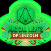 Magical Lights of Lincoln gallery