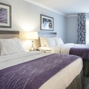 Comfort Inn Williamsburg Gateway - Motels
