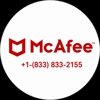 McAfee gallery