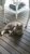 Bed And Breakfast For Your Cat - Cattery