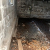 Removal Pro gallery