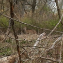 Tifft Nature Preserve - Nature Centers