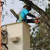 C&C Tree Services of Arkansas gallery