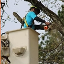 C&C Tree Services of Arkansas - Tree Service