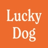 Lucky Dog Pet Services gallery