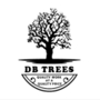 DB Trees