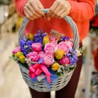 Ace Flowers