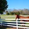 Mega Fence Company Repair & Installation gallery