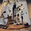 Truly Nolen Pest and Termite Control Grove City - Pest Control Services