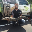 Palmetto Wildlife Extractors - Pest Control Services
