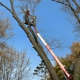Liscombe Tree Service