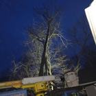 Ramsey & Family Tree Service