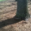 Carrboro Farmers Market gallery