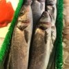 Ahearn's Seafood Market gallery
