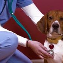 Academy Veterinary Clinic - Veterinarians