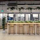 WeWork Office Space & Coworking