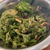 Salata gallery