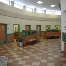 Red Bank Veterinary Hospital (RBVH) - Tinton Falls - Pet Services