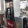 Wawa gallery